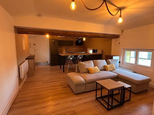 Charmant appartement 39m meublé