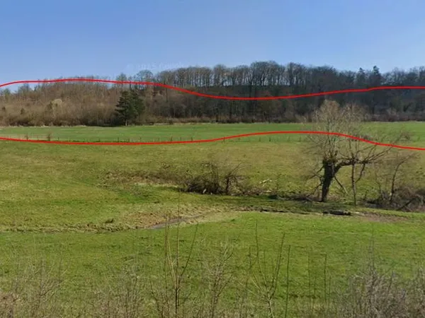 Forêt - Parcelles de Bois