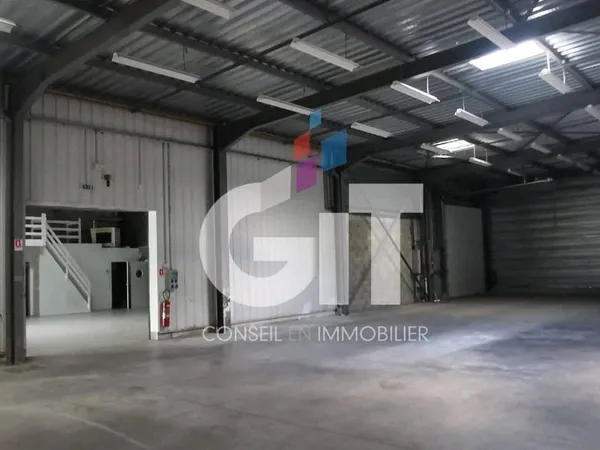 Local d'activité 3 pièces 990 m²