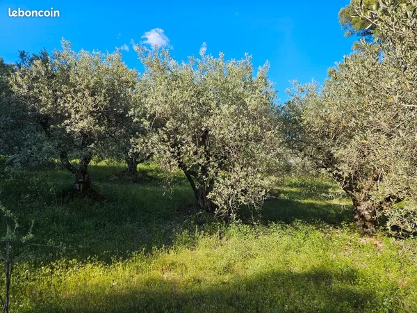 Bien agricole et foncier Vente Peyruis  1542m² 18000€