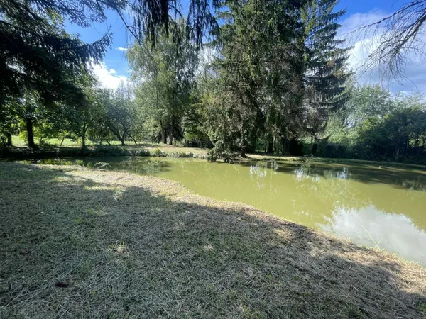 Plan d'eau Vente Vitrey-sur-Mance 11097m² 50000€