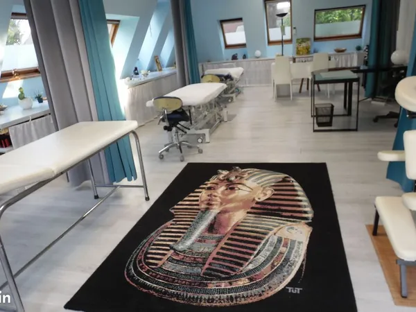 Local professionnel meublé de 70 m2