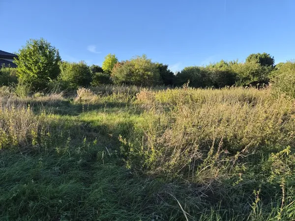 Terrain 1956 m²
