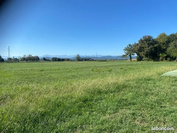 Habitat partagé