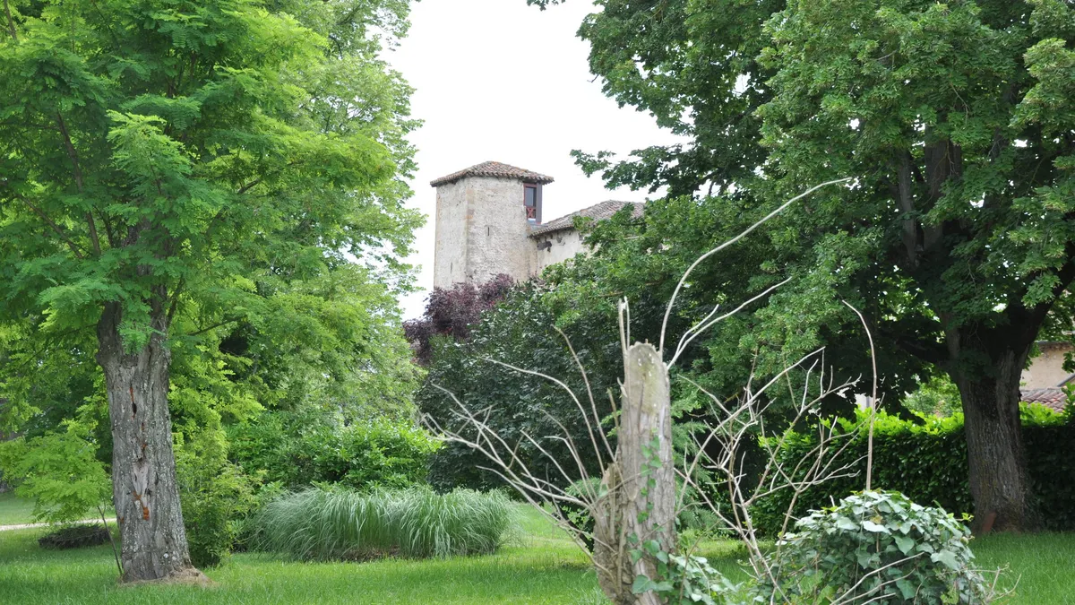 Photo 8