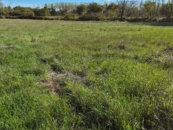 AV Terrain/pre agricole