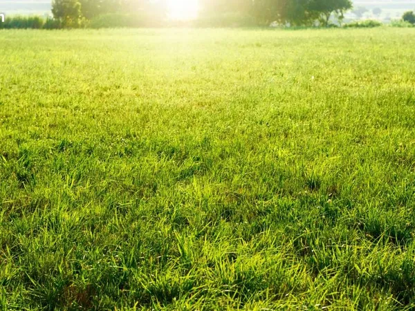 Terrain 295 m² Palaiseau