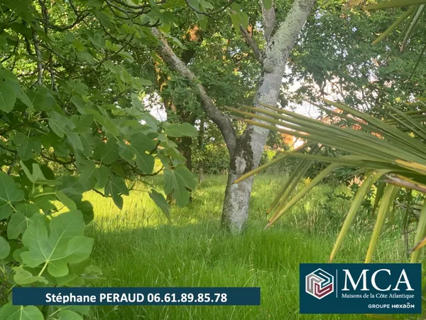 Terrain 720 m²