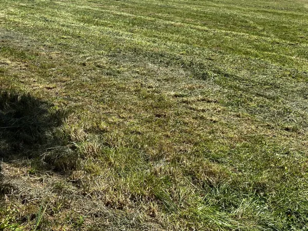 Terrain 1600 m²