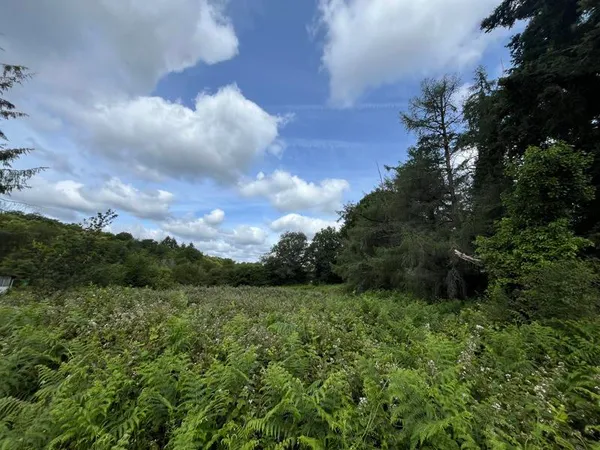 Terrain 4316 m²