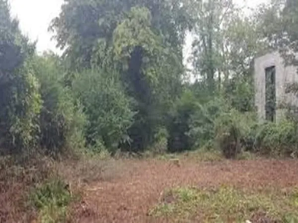 Terrain 454 m²