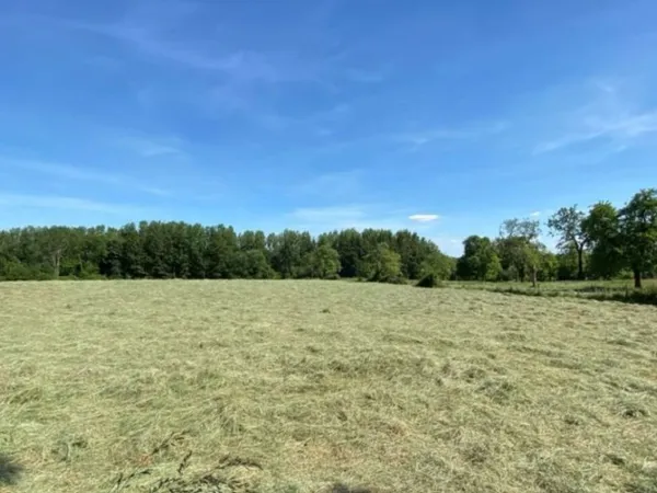 Terrain 1124 m²