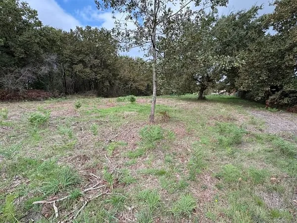 Terrain 925 m²