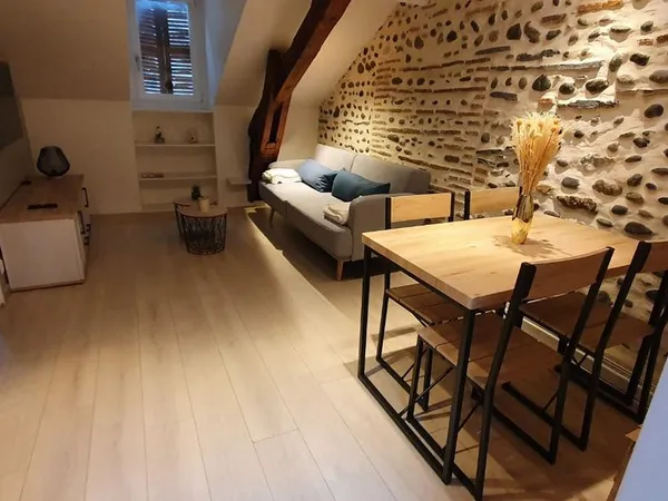 Charmant T2 meublé-Coeur de ville Pau