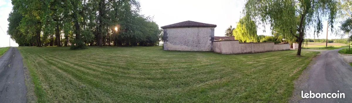 Photo 3