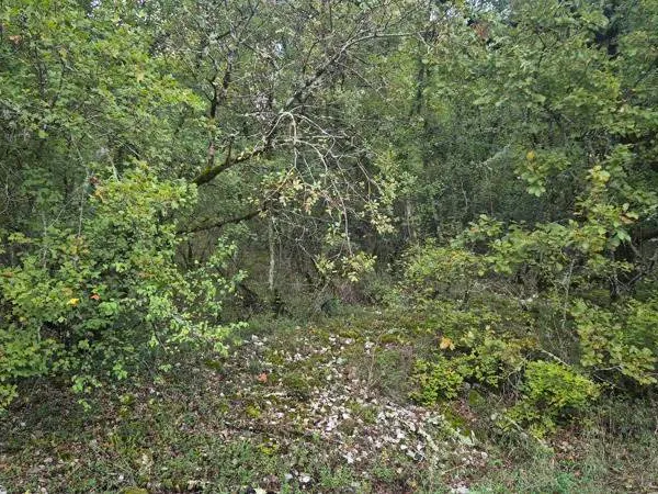 Terrain 853 m²