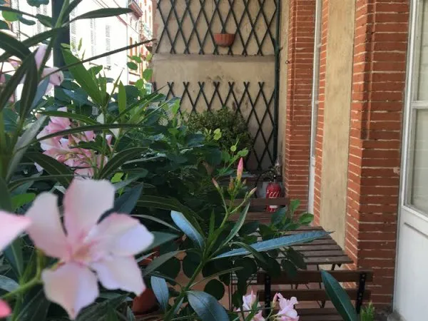 Loue pour 3 mois : Toulouse Carmes/Esquirol duplex avec terrasse et cheminée hyper centre