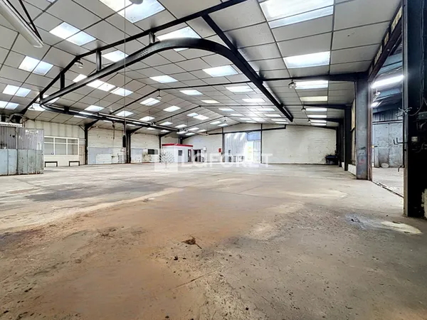 Local commercial 800 m²
