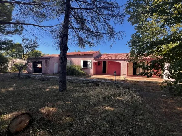 Maison grand terrain