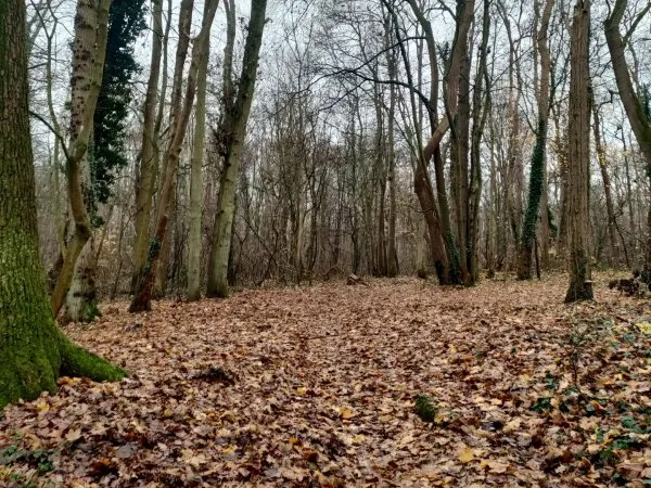 Terrain 7227 m²