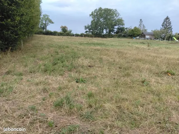 Location herbage( champ)