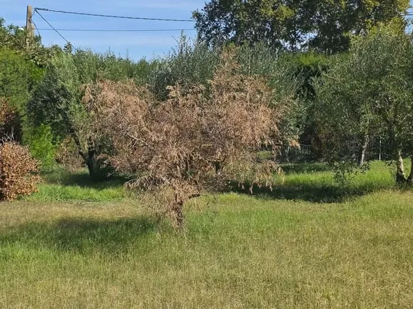 Terrain 406 m²