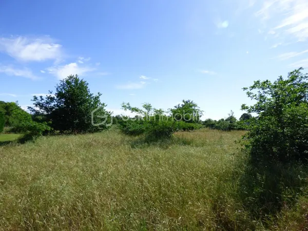 Terrain 1598 m²
