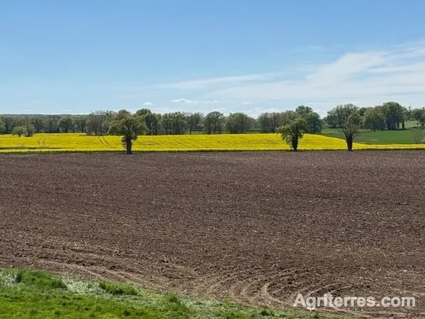 Exploitation céréalière de 546 ha à vendre Allier