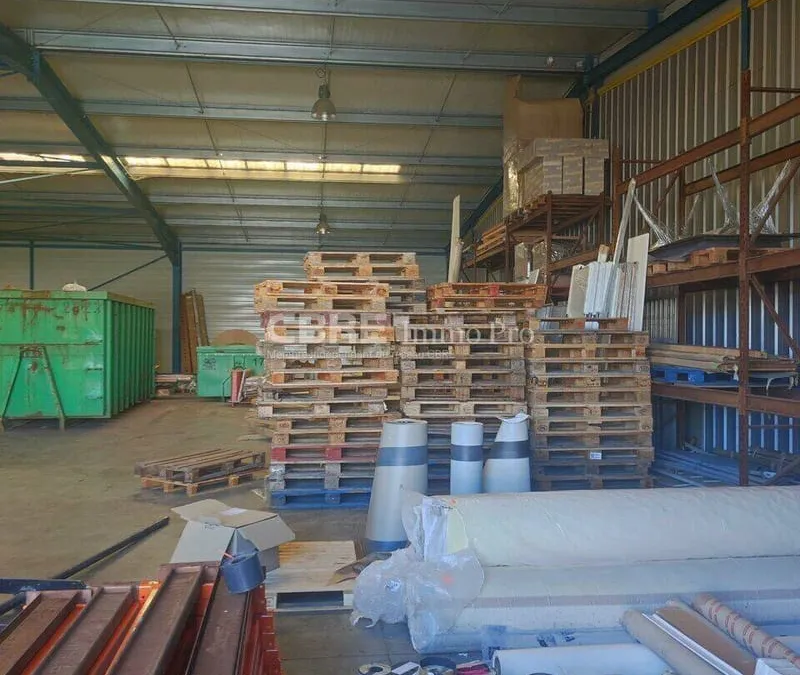 Photo 3