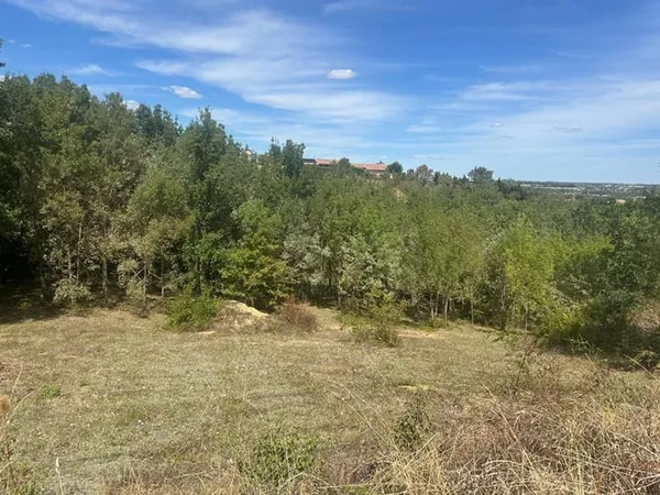 Terrain Gardouch 1093 m2