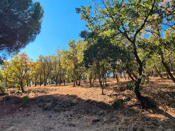 Terrain à bâtir