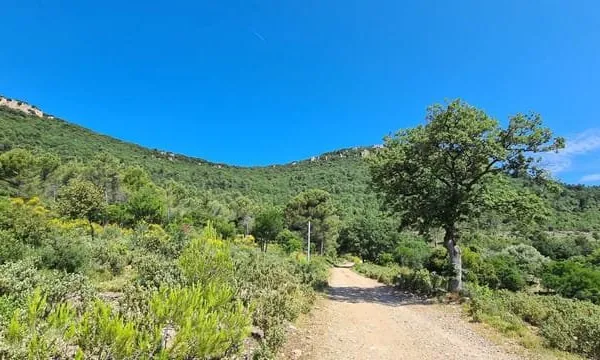 Terrain 2385381 m²