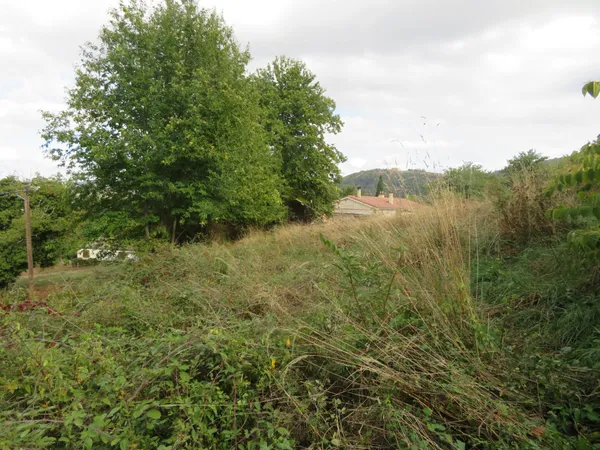 terrain constuctible