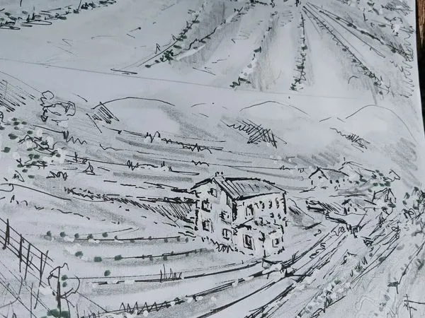 Propriété maison
