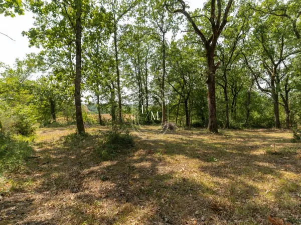 Le privilège d'un panorama unique