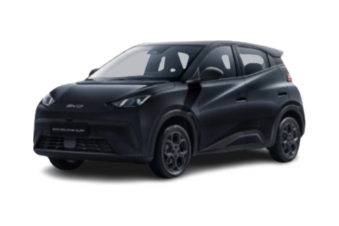 BYD Dolphin Surf 30 kWh 88 ch