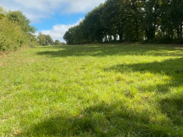 Terrain 8700 M2