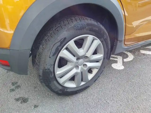 Dacia Sandero eco-g 100 — photo 11