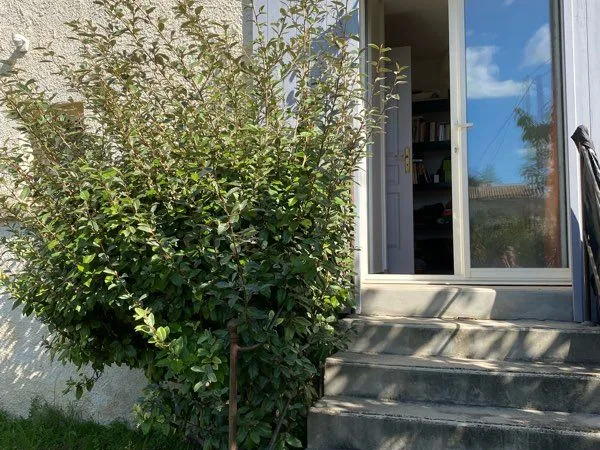 Studio meublé à louer à compter du 15 octobre 2026