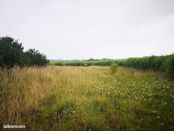 Terrain agricole - 1 108 m²