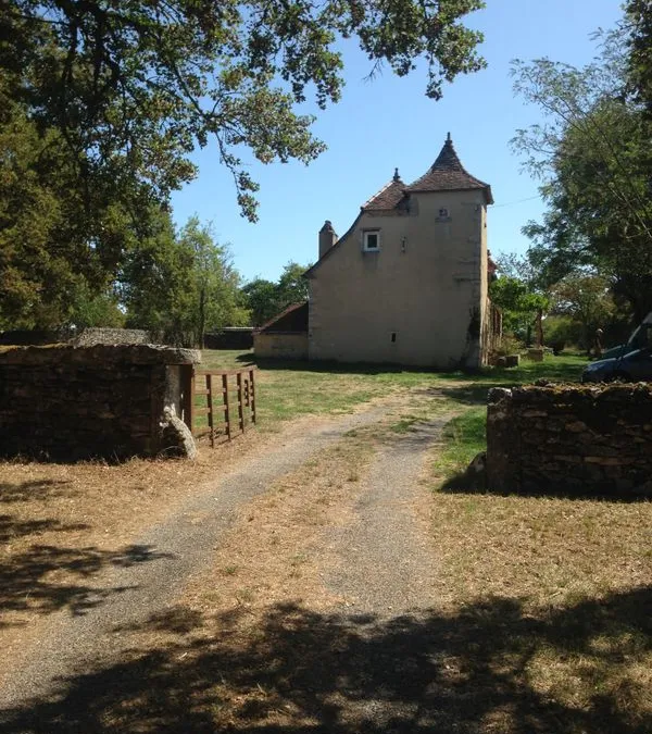 Photo 4