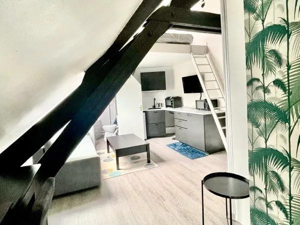 Charmant studio avec mezzanine - Saint-Cyr-l'École - 780 CC