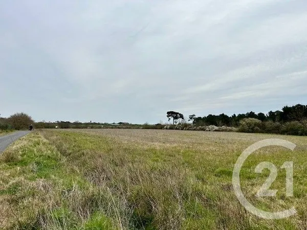 Terrain 533 m²