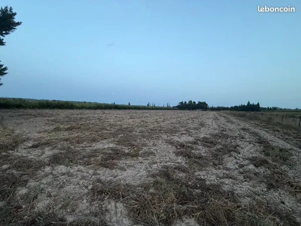 Terrain agricole avec électricité