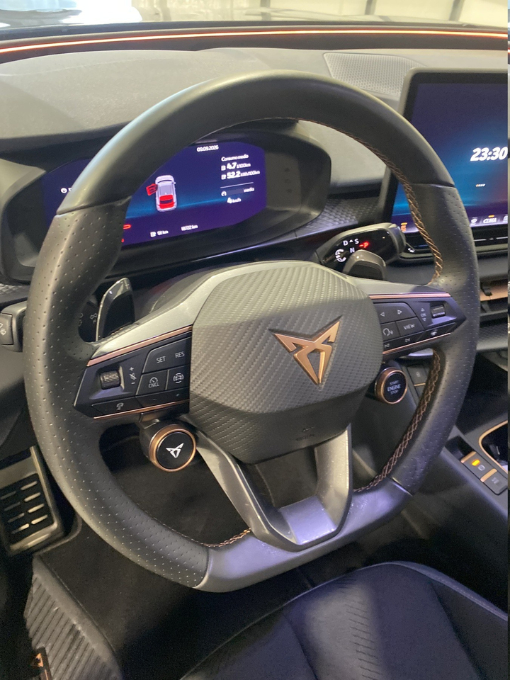 Cupra Terramar — photo 44