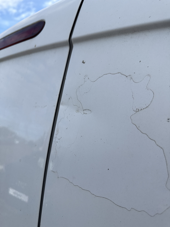 Renault KANGOO EXPRESS 1.5 DCI 75 E6 — photo 28