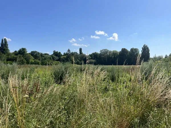 Terrain 1000 m²