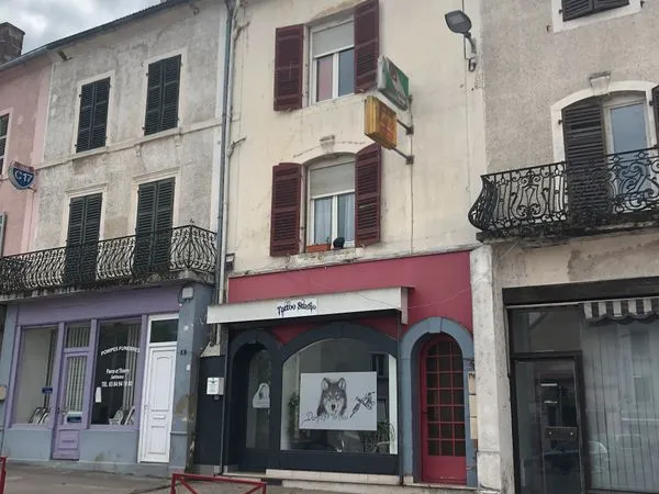 Immeuble de rapport 12 pièces 300 m²