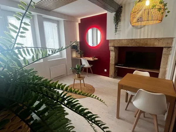 Charmant T1 entierement meublé et équipé ~28 m² - Hyper centre historique DIJON