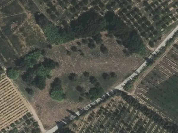 Terrain 8894 m²
